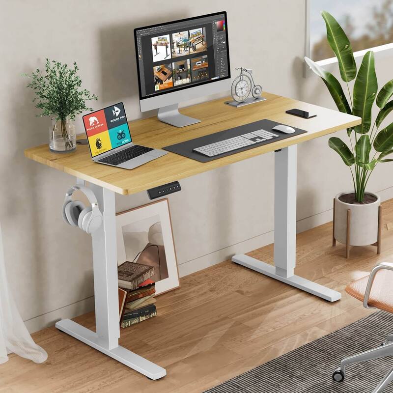 Electric Height Adjustable Standing Desk,Sit to Stand Ergonomic
